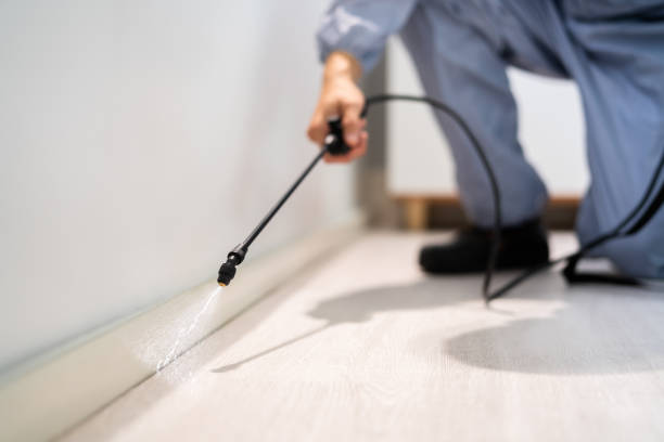 Licensed Rodent Control service in Rosedale, MD - Nex Pest Control