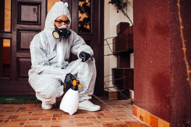 Reliable Rodent Control contractor in Rosedale, MD by Nex Pest Control