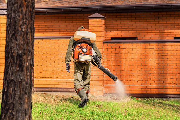 Trusted Rodent Control service in Rosedale, MD - Nex Pest Control
